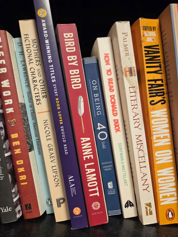 Books about writing and literature on a bookshelf.