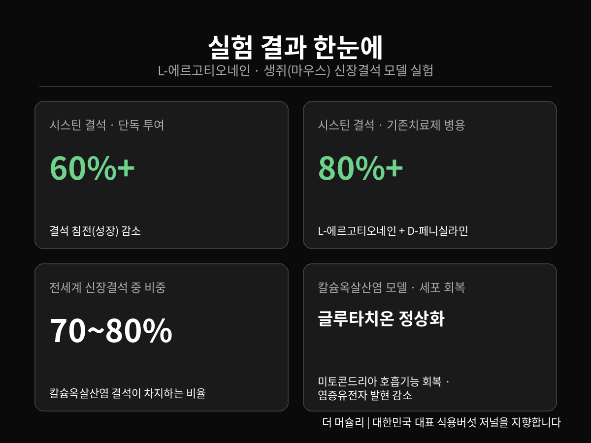 느타리버섯 속 L-에르고티오네인 성분이 생쥐 신장결석 실험에서 보여준 핵심 수치 인포그래픽 — 시스틴 결석 60% 이상 감소, 병용치료 80% 이상 감소, 칼슘옥살산염 결석이 전체 신장결석의 70~80% 차지