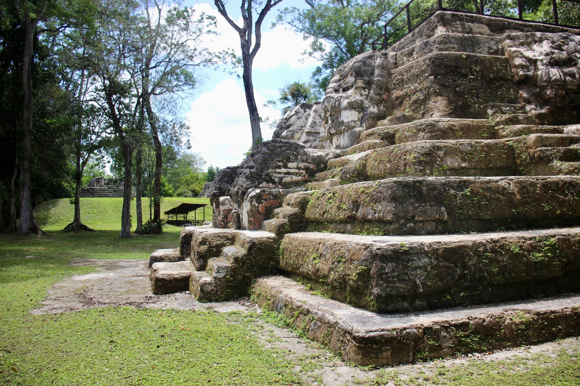 A step-like stone pyramid structure surrounded by green grass and tall trees