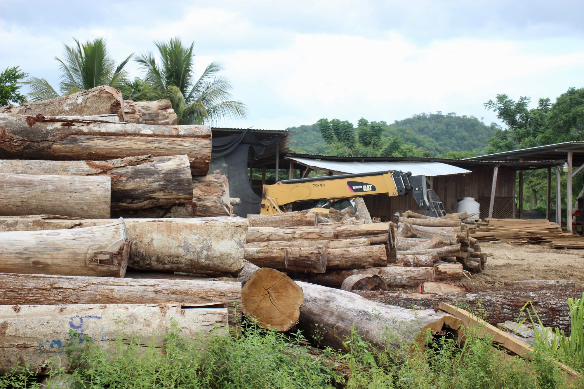 Timber logs lie on the ground beside a piece of heavy machinery inside a shed.