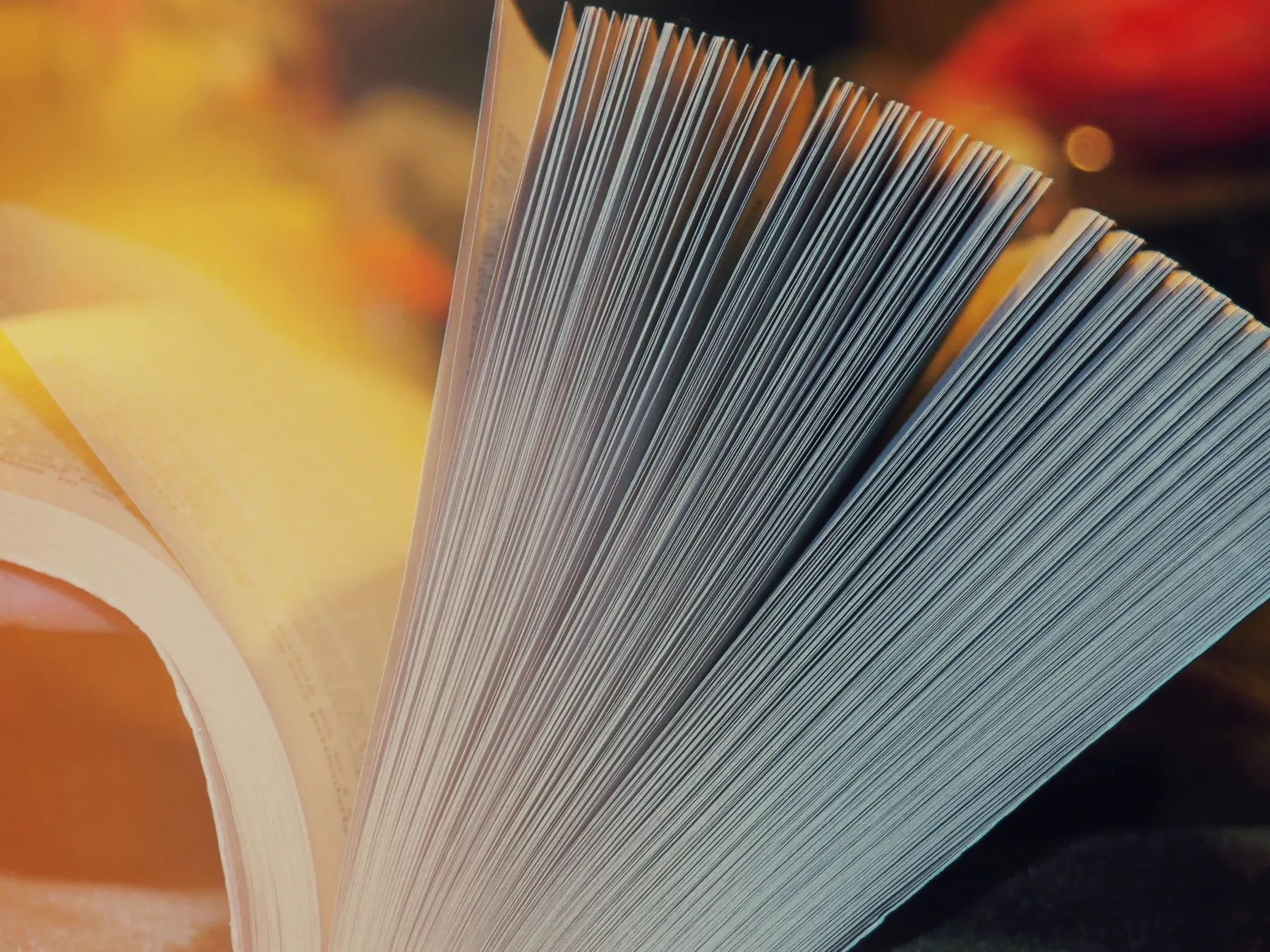 A book being flipped open.