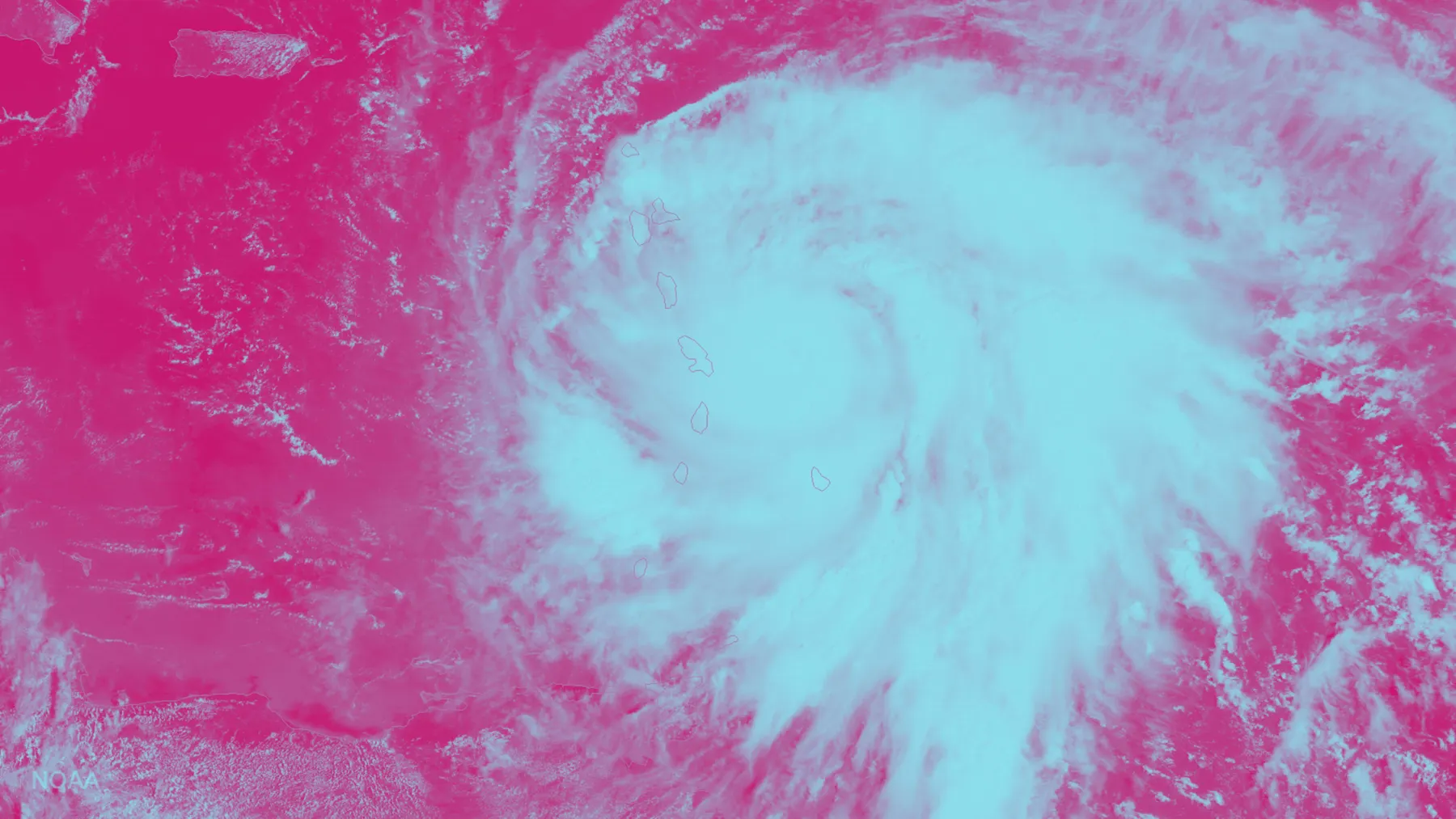 An image on a pink background shows a the formation of a hurricane.