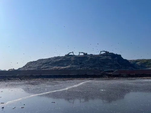 A heap of garbage at a landfill, with three JCB excavators working on the waste. Birds circle above the site.
