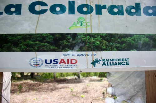 A sign that writes "con el apoyo de: USAID; Rainforest Alliance" (with the support of USAID; Rainforest Alliance)