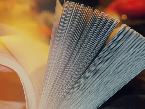 A book being flipped open.