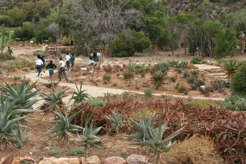 Visitors walk through a landscaped botanical garden. 