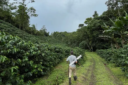"It Breaks My Heart": Costa Rica's Coffee Communities Challenged by Climate Change