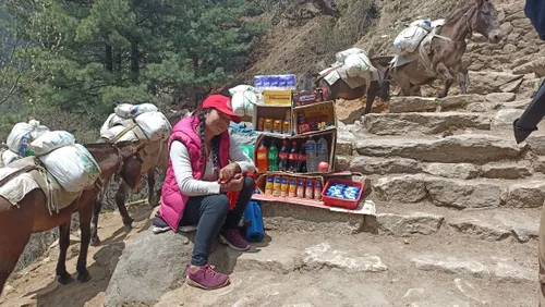 In the High Himalayas, Sherpa Women Bear the Disproportionate Effects of Climate Change