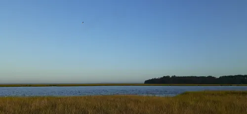 Perspective: Saving Sapelo Island's Legacy from Sinking