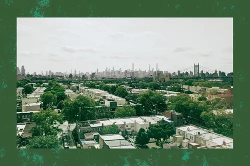 Giving Trees in New York City