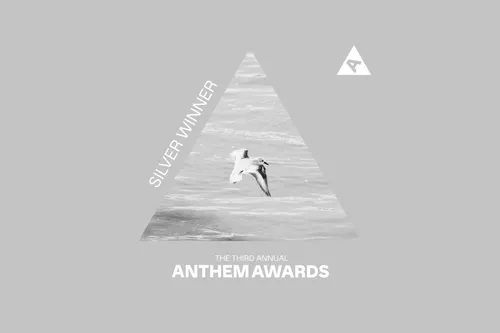 A seabird above water cropped in the shape of an equilateral triangle, with the caption "The Third Annual Anthem Awards Silver Winner".