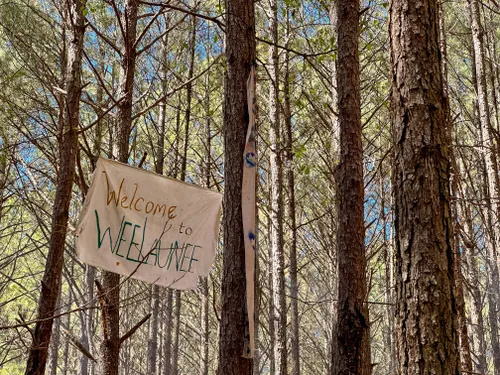 Perspective: A Walk through Weelaunee Forest