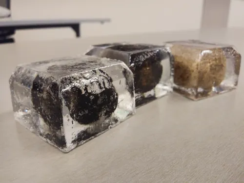 Image of three transparemt cubes with poop of wombat
