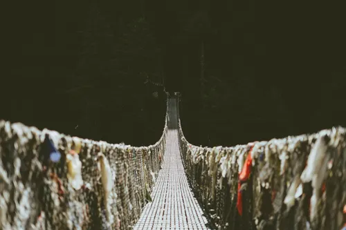An image of a bright, narrow footbridge leading into a dark forest.