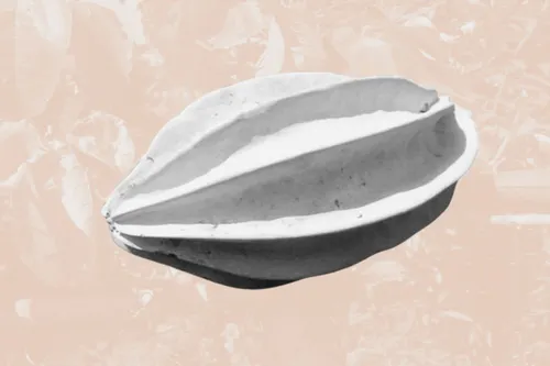 A visual of an ugu fruit