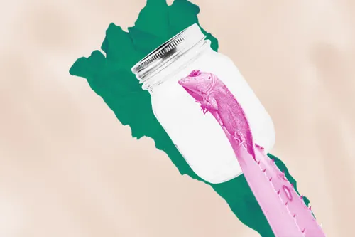 A lizard in a mason jar.