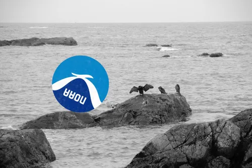 An upside down NOAA logo next to seagulls on the shore of Newport, Rhode Island.
