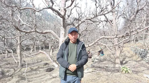 A man stands in front of lifeless apple trees