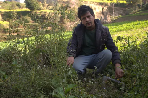 A Nepalese man crouches in the weeds to turns the gas pipeline from the digester off