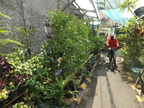 A street vendor pedals his bike across an alley filled with plants.