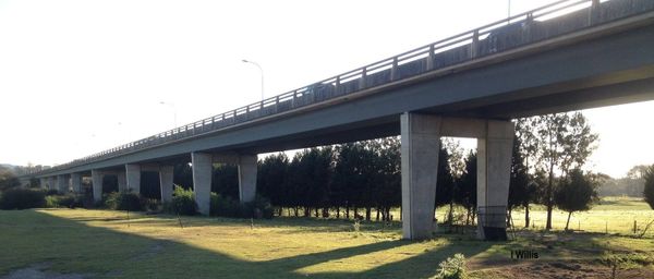 Macarthur Cowpasture Bridge Repair — Defect Survey & Documentation
