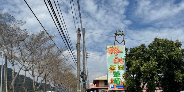 入夏