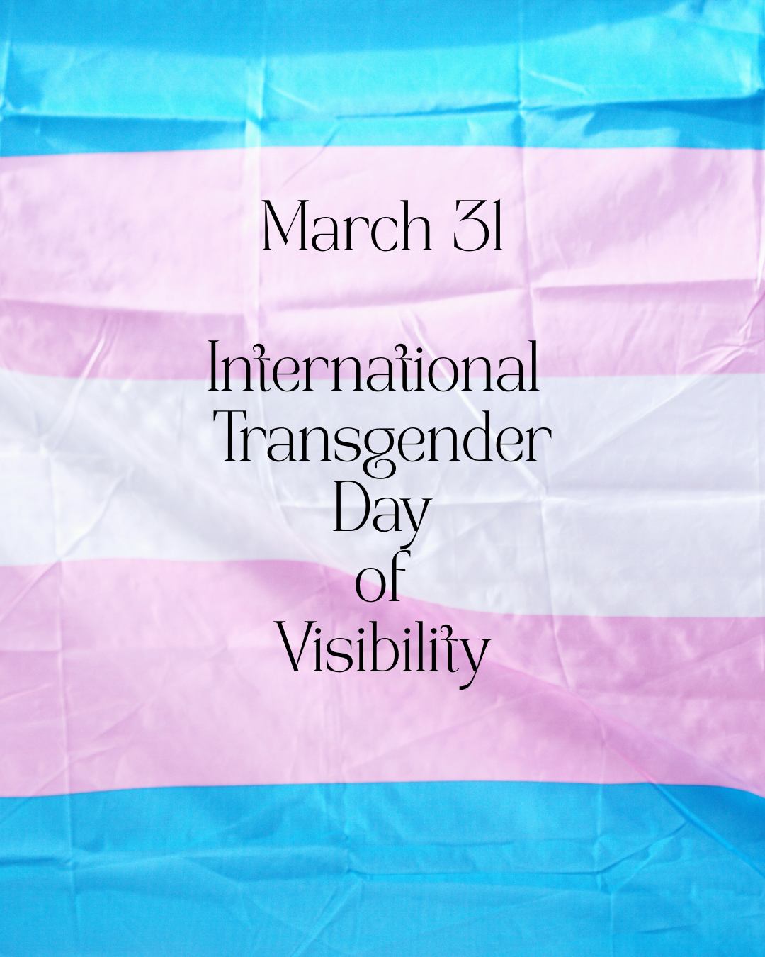 Black text reading: March 21 International Transgender Day of Visiblity overlaid onto the Blue, Pink and White Stripes of the transgender flag.
