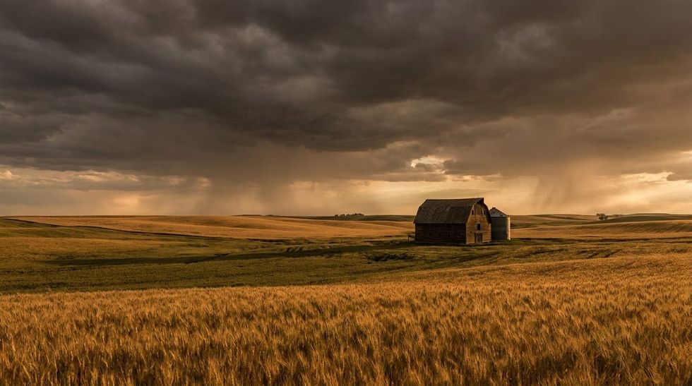 Farmland's Return to the Center of the Wealth Conversation