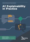 AI Explainability in Practice