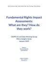 Fundamental Rights Impact Assessments: What are they? How do they work?