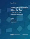Putting Explainable AI to the Test