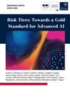 Risk Tiers: Towards a Gold Standard for Advanced AI