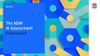 The NSW AI Assessment Framework