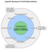 A Comprehensive Taxonomy of Hallucinations in Large Language Models (Universitat de Barcelona, August 2025)