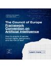 Cover of Artificial Intelligence and Human Rights: The Council of Europe Framework Convention on Artificial Intelligence