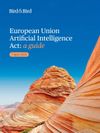 Cover of European Union Artificial Intelligence Act: a guide