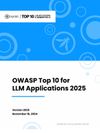 Cover of OWASP Top 10 for LLM Applications 2025