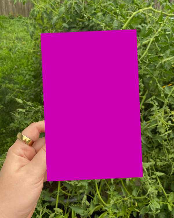 📖 Why I DIY'd My Book Design & My Low-Key Launch Plans