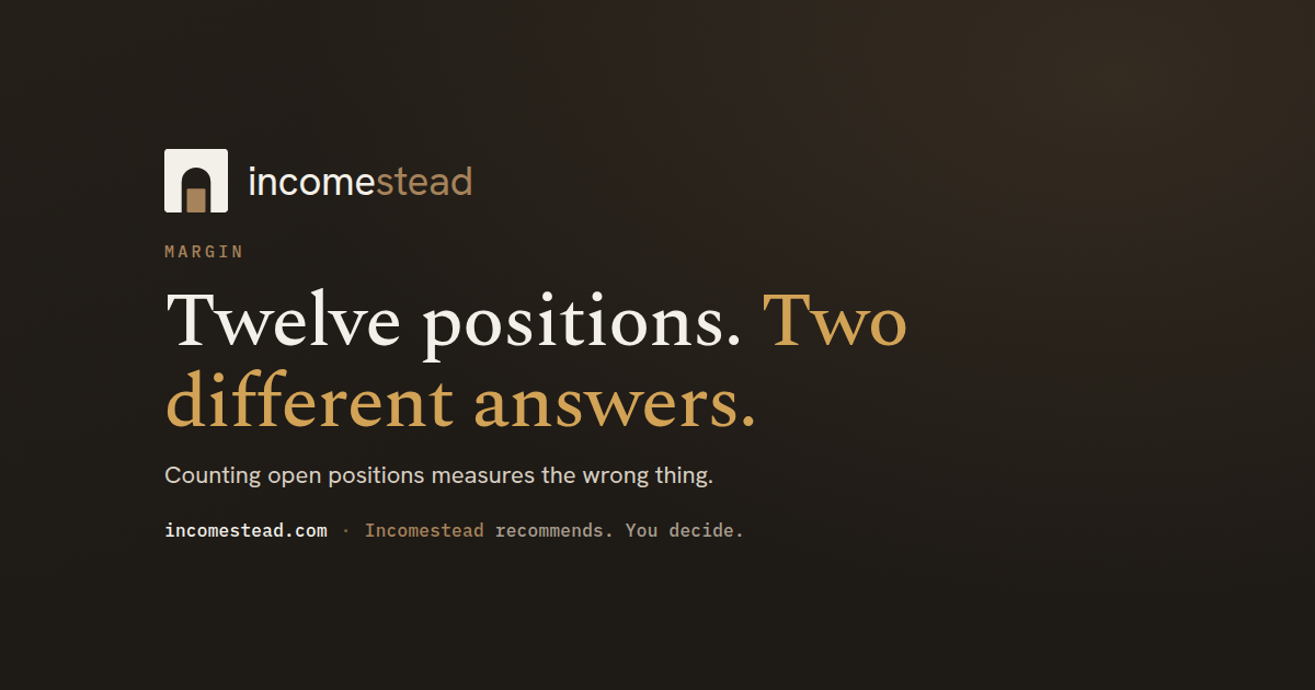 How many option positions a portfolio can carry at once