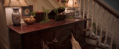 From My Inbox: Plants, Pitching +(Dan) Pink.