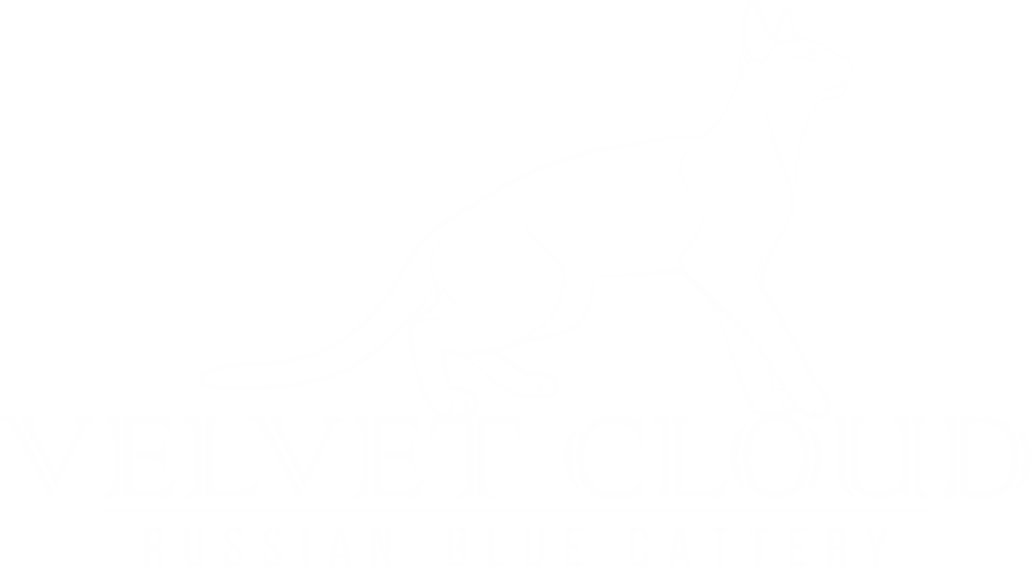 Velvet Cloud Cattery