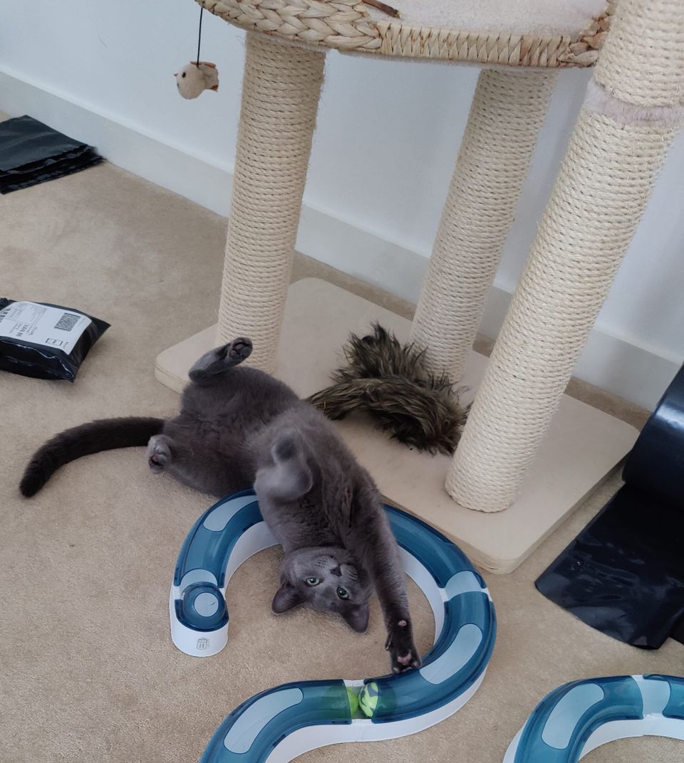 Playtime