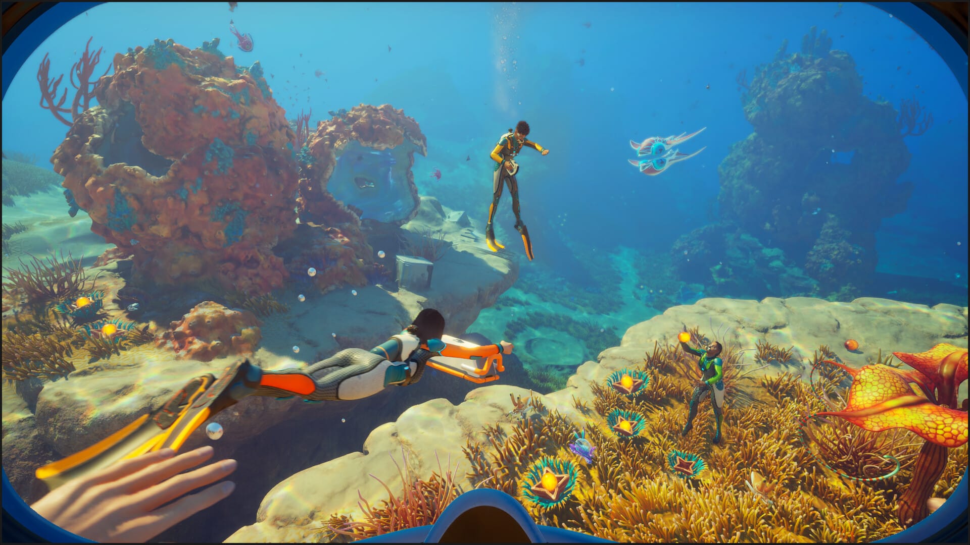 Through a scuba mask a group of swimmers cavort around a reef.