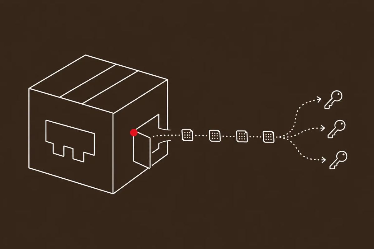 Line art on espresso: an npm package with a hidden backdoor function siphoning secret keys out through a DNS channel. Red dot accent on the backdoor.