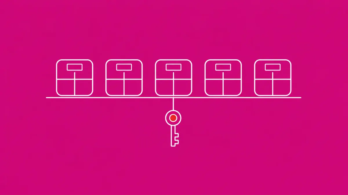 Line-art row of near-identical small package boxes on a shelf, each with a tiny lookalike label; a small key icon hangs from one box, and a red dot sits on the key.