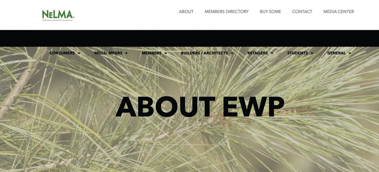 NELMA Presents: Online Retailer Resources