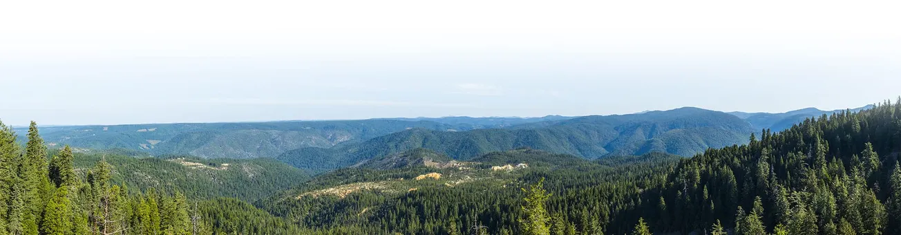 Salvage-Minded Entrepreneurs Rush to Build NM Mill