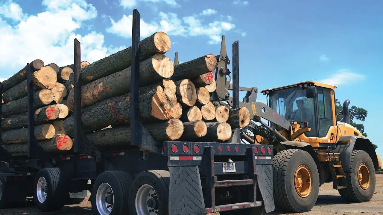 Film Promotes Hardwood Industry