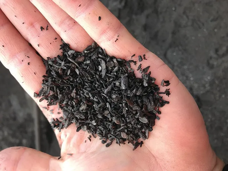 Humboldt Sawmill Qualified to Enter European Carbon Sink Market