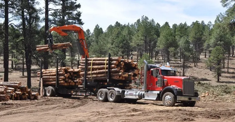 Milling Complex Coming to Arizona